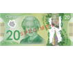 $20画像